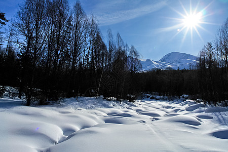 在树林里的滑雪道 在树林里滑雪踪迹冬令天空潮人天气旅行运动假期树木艺术图片