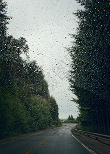 雨季的公路旅行图片