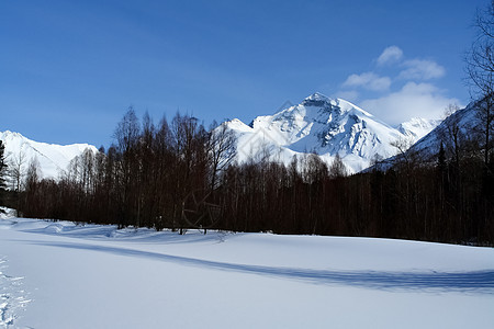 贝卡尔山上雪中塔伊加 冬季森林冰雪木头动物群旅行桦木林地旅游树木太阳针叶林图片