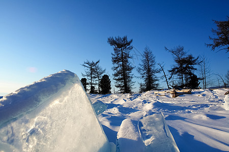 贝卡尔山上雪中塔伊加 冬季森林桦木针叶林树木旅游远足冒险外观旅行木材国家图片