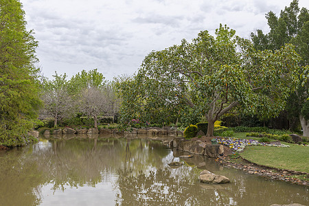 环绕着树木和鲜花的小池塘图片