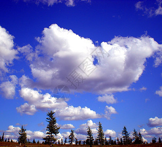 蓝色的天空 乌云笼罩在泰加上空 俄罗斯北部的性质森林山脉地平线树木国家镜像季节晴天荒野全景图片