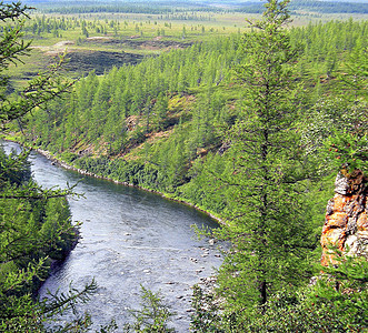 在俄罗斯北部的泰加河里 泰加河在山地上的性质反射荒野旅游纯净水天空溪流旅行娱乐针叶林丘陵图片