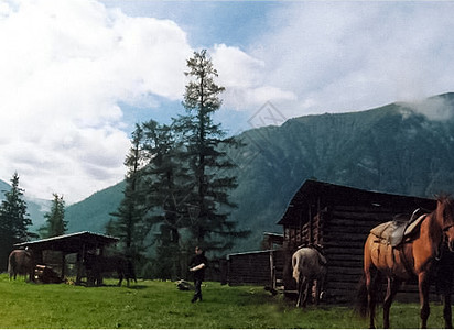 马在草地上的马棚和马厩附近木头风景场地建筑牧场家畜农场农田马术榆钱图片