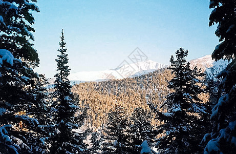 冬雪中的赛昂山 山的本质是说旅游天空高度环境公园山顶森林全景旅行风光图片
