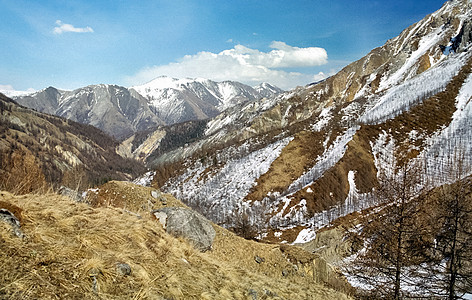 冬雪中的赛昂山 山的本质是说环境岩石全景丘陵踪迹草地游客天空旅游森林图片