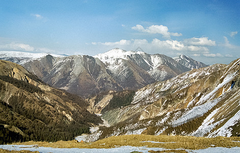 冬雪中的赛昂山 山的本质是说假期全景野生动物晴天旅游自然公园风景森林天空蓝色图片