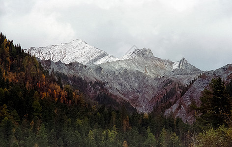 山岳上有许多高原 山岳的本性是言语中的 山上有植物岩石森林乡村旅游天空环境山脉风景自然公园旅行图片