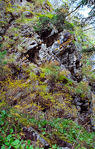 在萨亚纳山的自然中旅游岩石吸引力树木针叶林巨石山脉荒野花朵旅行图片
