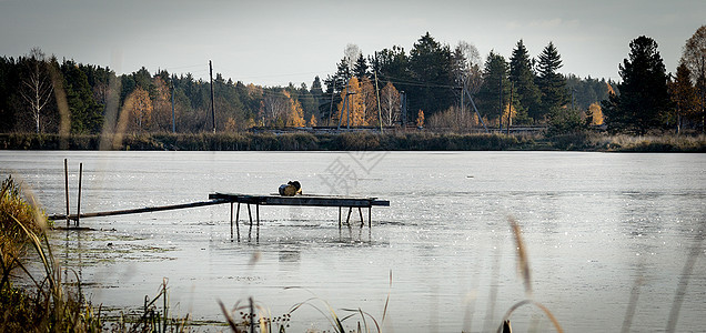 湖边的渔捞码头 池塘上的空码头扶手假期反射木头环境海滩旅游血管爱好小路图片