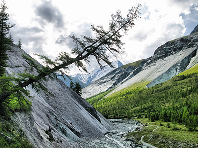 山区地貌 森林和阿尔泰的蓄水层河道悬崖岩石冰川水库场景蓝色旅游湖区公园图片
