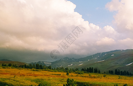 Altai 森林和山区的秋天自然旅游山脉季节旅行远足野性树干天空云杉假期图片