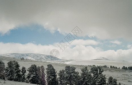 冬季阿尔泰 山丘和雪中的森林 冬天来到阿尔泰 雪落下瀑布旅行冰川风景日落岩石童话爬坡天空全景图片