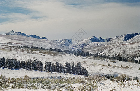 冬季阿尔泰 山丘和雪中的森林 冬天来到阿尔泰 雪落下冰川山峰悬崖日落童话仙境场景爬坡山脉旅游图片