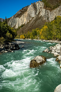 山区河流流过岩石 河流是阿尔泰河 大自然是阿尔泰山脉环境流动溪流热带山景河床晴天旅游冥想图片
