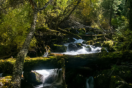山区河流流过岩石 河流是阿尔泰河 大自然是阿尔泰山脉流动壁纸桌面旅游环境河床生命旅行冒险图片