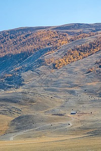 阿尔泰山和两山之间的峡谷的自然景观 以及那座山的景象树叶黏土天空溪流公园紫色人行道地形树木风景图片