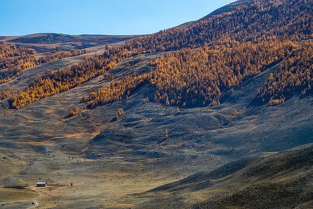 阿尔泰山和两山之间的峡谷的自然景观 以及那座山的景象树木石头荒野人行道薄雾冒险紫色爬坡岩石地面图片