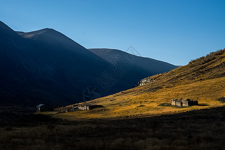 阿尔泰山和两山之间的峡谷的自然景观 以及那座山的景象溪流岩石石头树叶风景山沟苔藓环境露天紫色图片