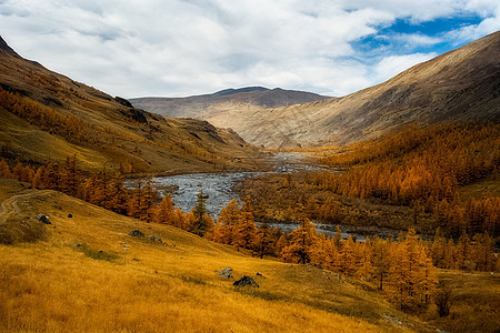 阿尔泰山和两山之间的峡谷的自然景观 以及那座山的景象山峰树木横幅环境场景荒野急流山沟天空高地图片