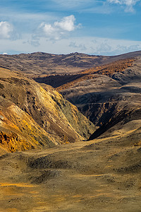 阿尔泰山和两山之间的峡谷的自然景观 以及那座山的景象溪流针叶林石头紫色植物学岩石风景叶子树木旅行图片