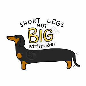 腿短但态度大腊肠狗卡通矢量它制作图案绘画艺术哺乳动物卡通片收藏卡片灯泡动物香肠动机图片