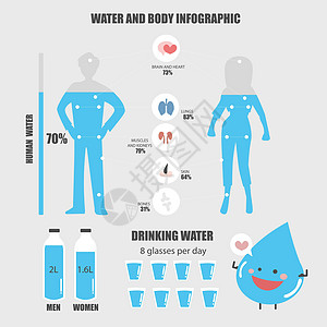 水与身体 男女人口分布图矢量说明图片