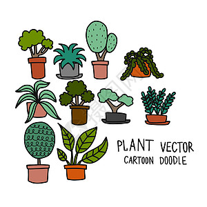 植物设置矢量插图 doodle 风格图片
