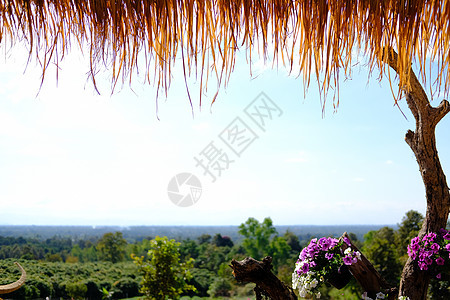 用自然观的草干制成的湿屋顶干草乡村农场稻草风景图片