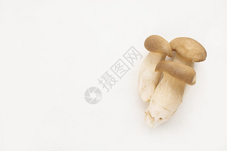 牡蛎王蘑菇在白色背景上被分成三块 具有营养价值和医药用途 a 养分棕色团体工作室美食食物烹饪蔬菜国王侧耳牡蛎图片