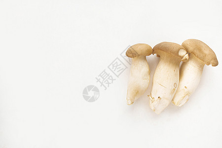 牡蛎王蘑菇在白色背景上被分成三块 具有营养价值和医药用途 a 养分喇叭棕色食物团体工作室国王牡蛎蔬菜侧耳美食图片