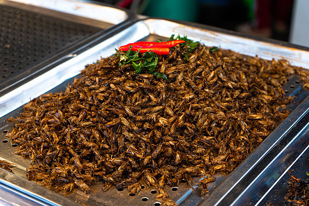 亚洲粮食市场 用炒虫子的柜台街道文化烹饪热带异国小吃幼虫昆虫摊位营养图片