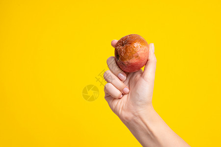 一只雌性手拿着一个腐烂的苹果 黄底有虫子皮肤老化衰变食物厌恶水果宏观皱纹模具图片
