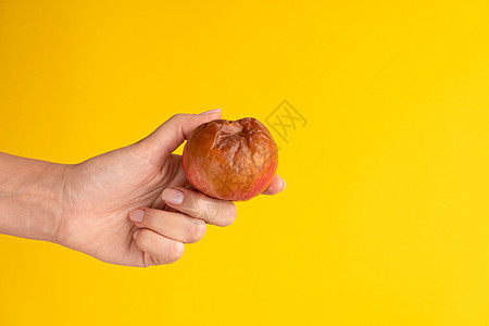 一只雌性手拿着一个腐烂的苹果 黄底有虫子老化宏观衰变水果模具皱纹食物厌恶皮肤图片