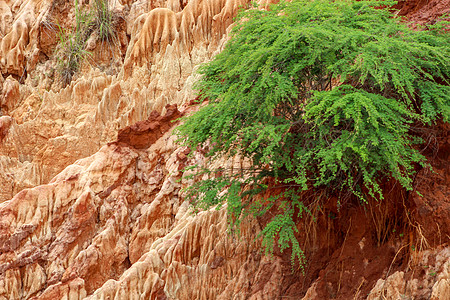 马达加斯加公园的砂岩构造和针头峡谷风景岩石巡航绿色旅行地质红色石头红地图片