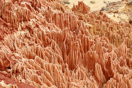 马达加斯加公园的砂岩构造和针头胭脂红地层绿色地质观光岩石风景红地地质学巡航背景图片