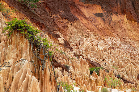 马达加斯加公园的砂岩构造和针头观光岩石峡谷红色巡航地层地形风景地质旅行图片