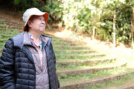 在公园休息放松的年老老年妇女 老年人休闲生活习惯 包括退休长老女士闲暇女性花园背景图片