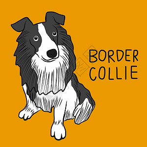 边境牧羊犬狗卡通矢量它制作图案图片
