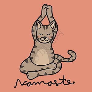 Namaste 虎斑猫玩瑜伽卡通矢量它制作图案插图姿势艺术沉思微笑小猫练习卡通片身体动物图片