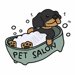 达克斯猎犬在浴缸里洗澡宠物沙龙卡通矢量图图片