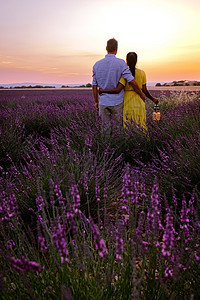 在普罗旺斯薰衣草田度假的男女情侣薰衣草田房子植物紫色香水男人农业女人晴天裙子高原图片