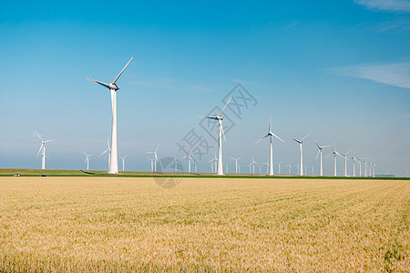 海上风车公园 有暴云和蓝天 海中风车公园蓝色力量涡轮生态发电机活力天空海洋场地植物图片
