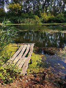 自然景观 一个静悄悄的隐密地点的池塘场景生态爬坡反射假期晴天荒野溪流太阳地平线图片