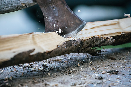 拾柴取火 尖斧头在一块块上砍柴树桩农村树干运动木头木工人木材橡木柴堆森林图片
