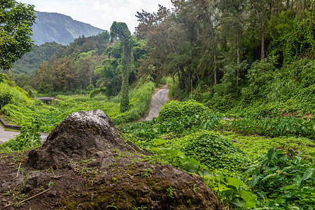 留尼汪岛景观的景象地质学白云山脉旅游踪迹岩石生长全景热带荒野图片