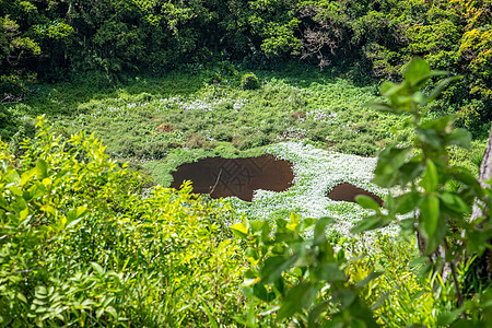 非洲印地洋毛里求斯岛非洲 印度洋编队巡航岩石陨石绿色石头旅行植被甘蔗峡谷图片