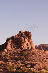 在阿根廷门多萨乌斯帕拉塔附近的沙漠中 落基树枝 彩色过滤效应图片