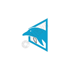 海豚标志图标设计概念向量模板尾巴圆圈蓝色哺乳动物插图游泳生活海滩字母海洋图片