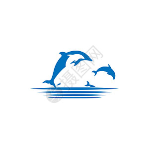 海豚标志图标设计概念向量模板跳跃游泳尾巴字母标识动物商业海浪圆圈生活图片